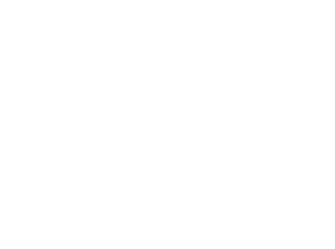 Decorative Right Bottom